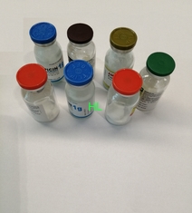 중국 주입 0.5g/1.0g 항생을 위한 Cefazolin 나트륨 분말 약 협력 업체